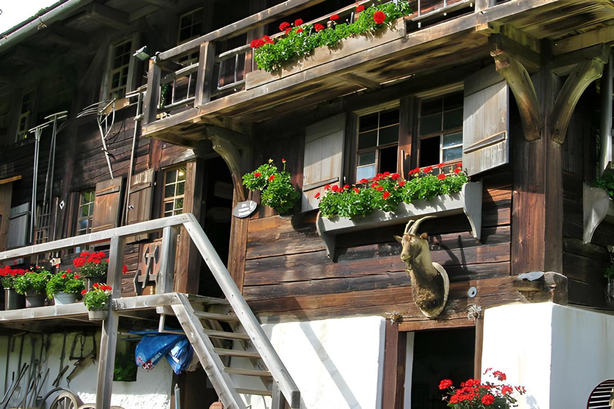 Ferienhaus Voelkle Hinterzarten Exterior photo